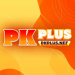PKPLUS Game
